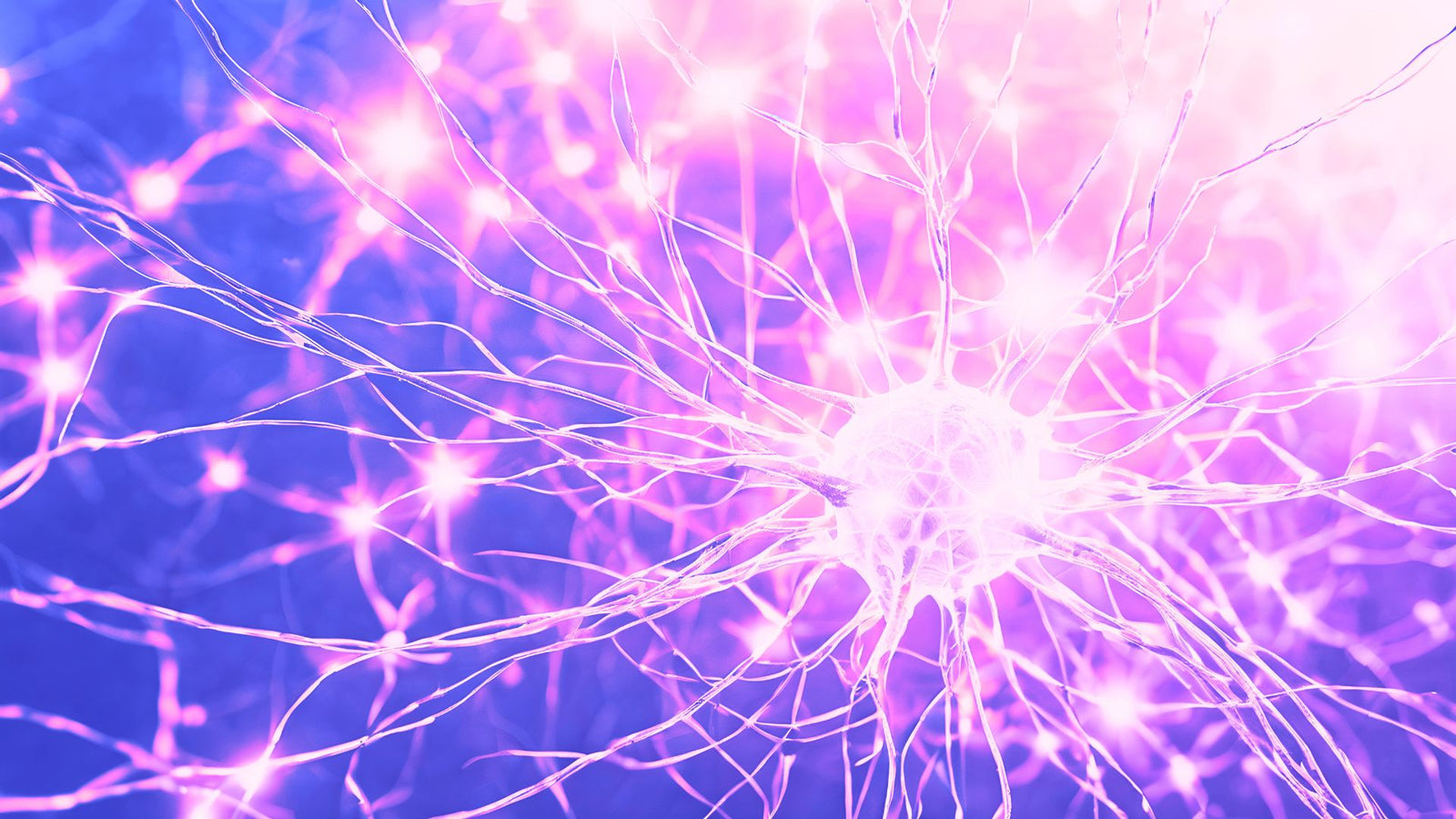 Article | 2026 the year of nervous system regulation